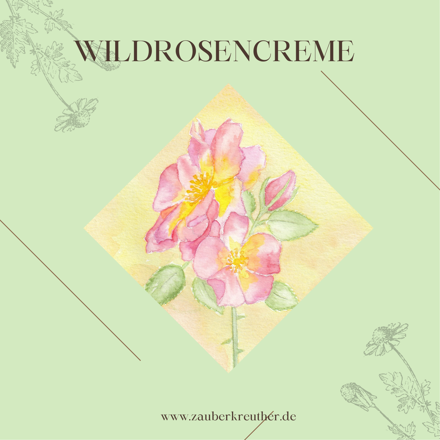 Wildrosencreme DIY Box